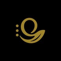 OsmO AI