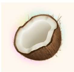 Coconote