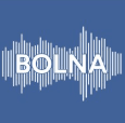 Bolna AI
