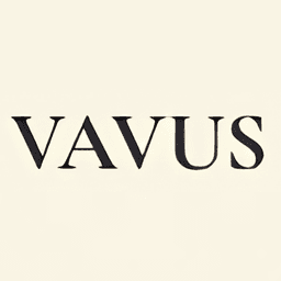 Vavus AI